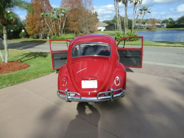 Volkswagen Beetle - Classic 1967 image number 2