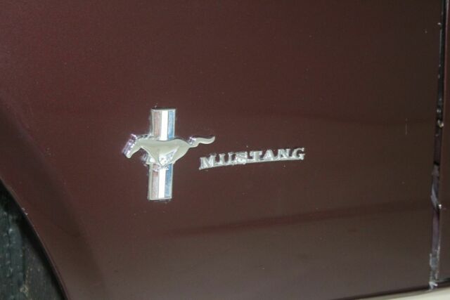 Ford Mustang 1965 image number 7