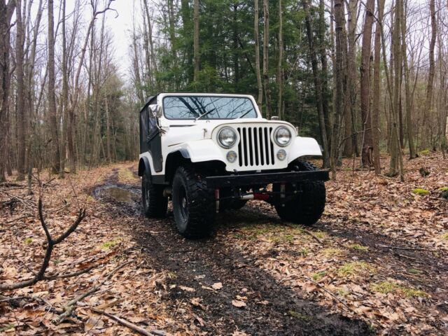 Willys CJ-5 1969 image number 22
