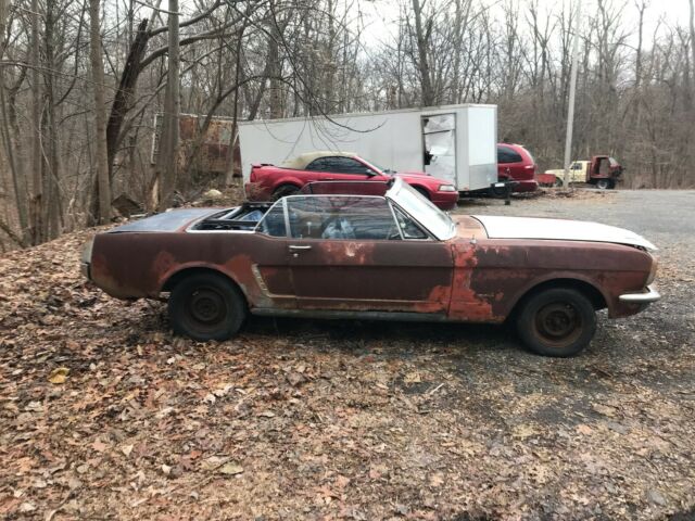Ford Mustang 1965 image number 3