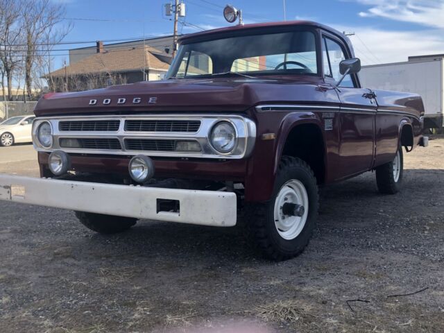 Dodge Pickup w100 1971 image number 1