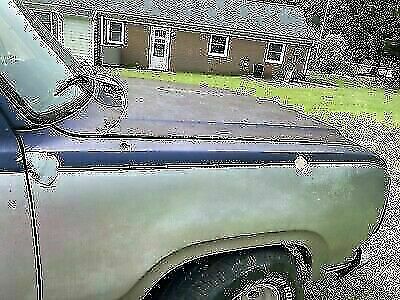 Dodge D100 1977 image number 31