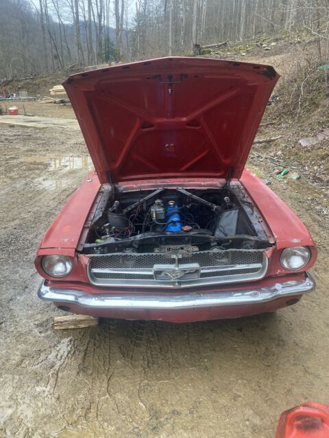 Ford Mustang 1966 image number 19
