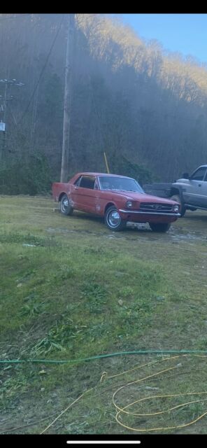 Ford Mustang 1966 image number 4