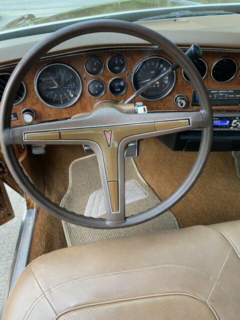 Pontiac Grand Prix 1974 image number 11