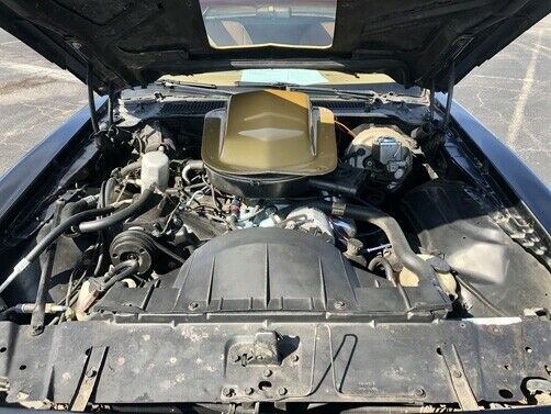 Pontiac Trans Am 1978 image number 14