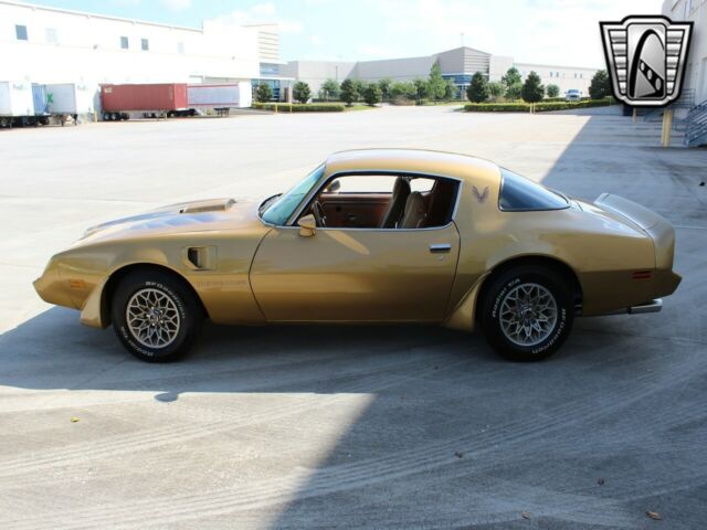 Pontiac Firebird Trans-Am 1979 image number 45
