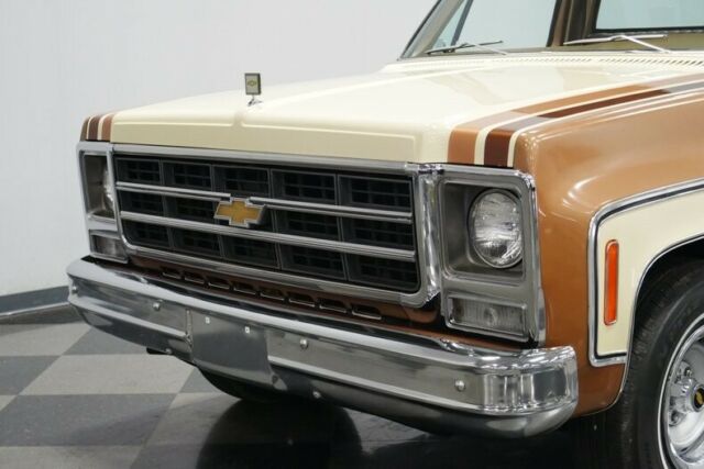 Chevrolet C-10 1979 image number 22
