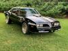 1978 Pontiac Trans Am