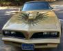 1978 Pontiac Trans Am
