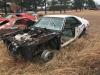 1970 AMC AMX