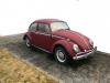 1966 Volkswagen Beetle - Classic