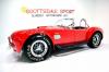 1965 Shelby COBRA CSX4000 Series