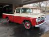 1959 Ford F-100