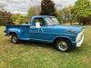 1967 Ford F-100