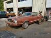 1978 Ford Mustang