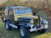 1956 Jeep willy