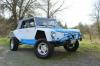 1974 Volkswagen Thing