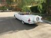 1956 Ford Thunderbird