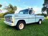 1967 Ford F-100