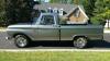 1966 Ford F-100