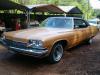 1973 Buick Electra