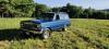 1979 Jeep Wagoneer