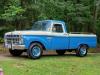 1965 Ford F-100