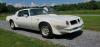 1976 Pontiac Trans Am
