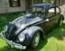 1964 Volkswagen Beetle - Classic