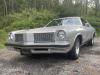 1975 Oldsmobile Cutlass