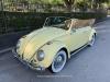 1966 Volkswagen Beetle - Classic