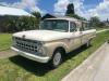 1965 Ford F-100