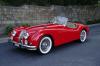 1955 Jaguar XK