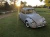 1967 Volkswagen Beetle
