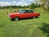 1966 Plymouth Belvedere
