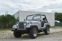 1979 Jeep CJ