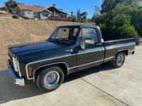 1979 Chevrolet C-10