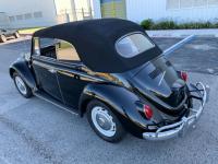 1967 Volkswagen Beetle - Classic