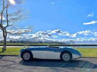 1959 Austin-Healey 100-6