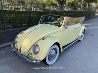 1966 Volkswagen Beetle - Classic